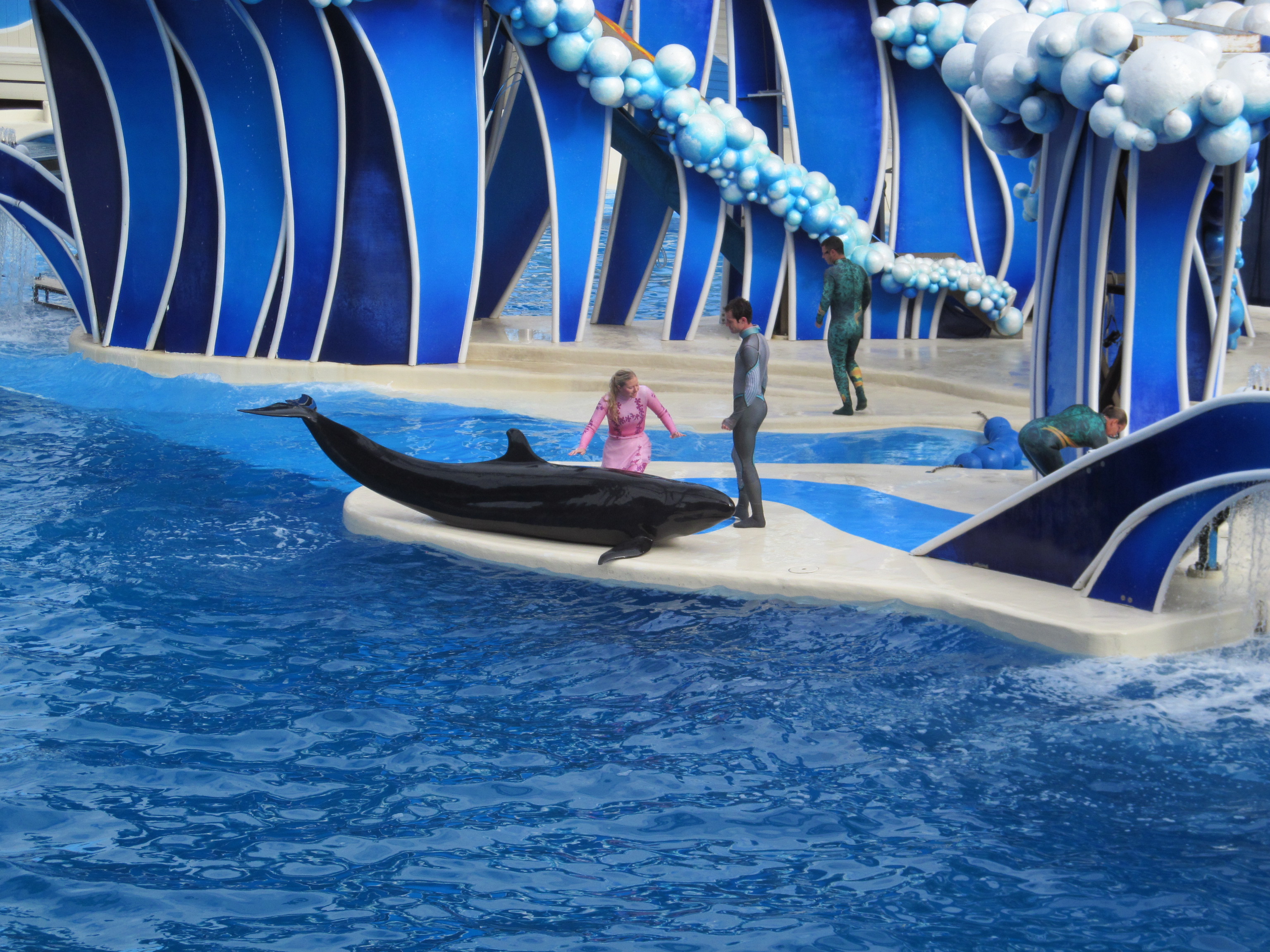 Disney Magic